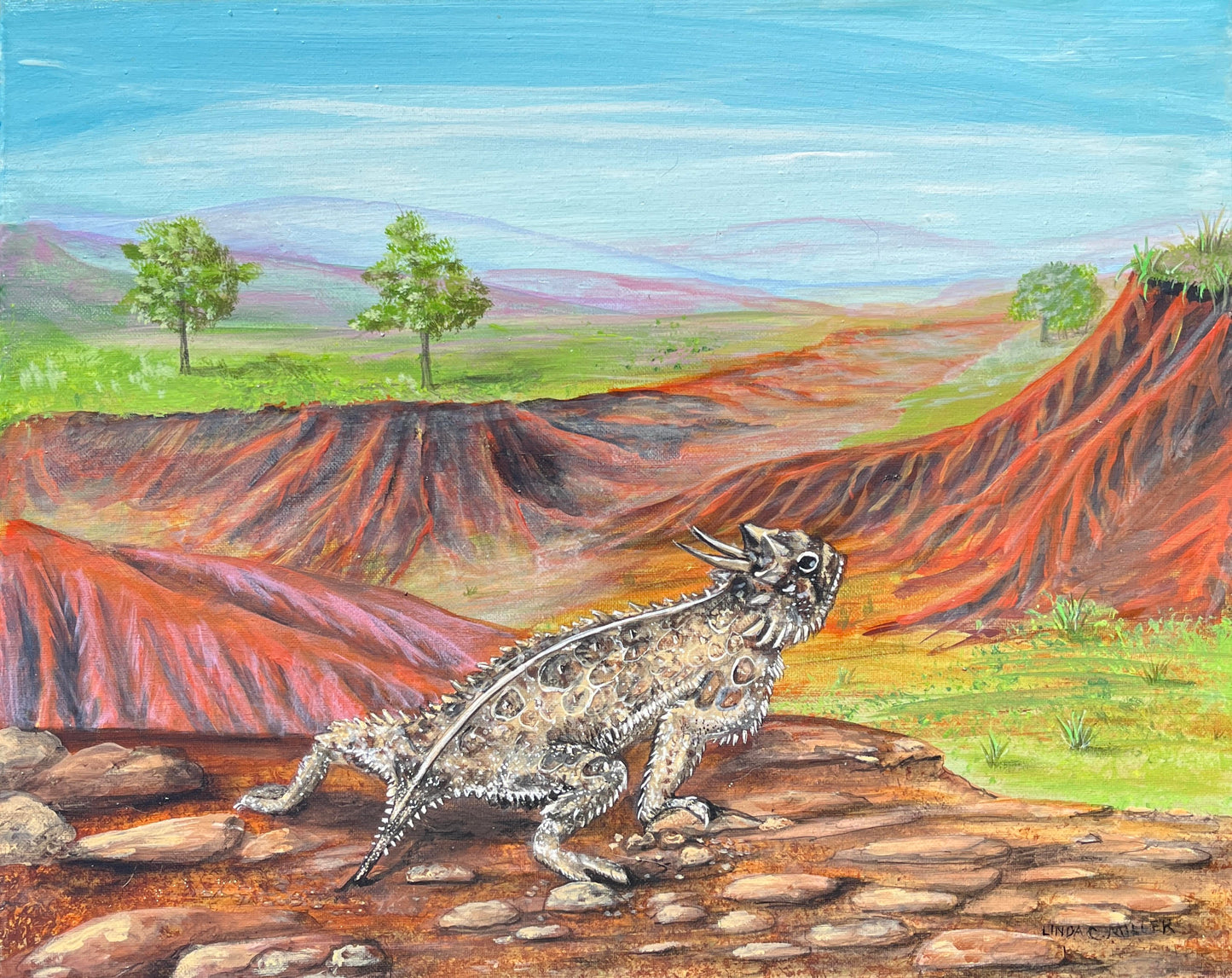 The Majestic Horny Toad